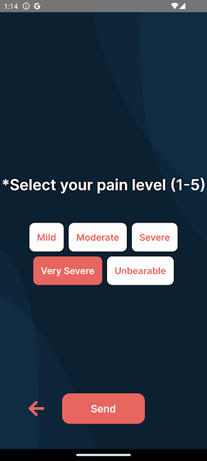 STmedical Platform Screenshot 3
