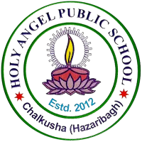 HOLY ANGEL PUBLIC SCHOOL