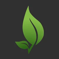 Turn It Green