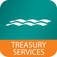 CFB Treasury Services