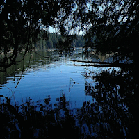 Evening Lake Live Wallpaper