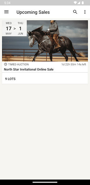 North Star Horse Sales Screenshot 0