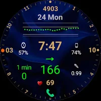 DMM16 Diabetic Watch Face