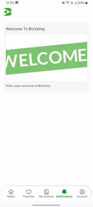Bizvalley Screenshot 3