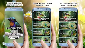 Suara Burung Kolibri Kelapa Screenshot 1