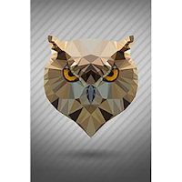Oak Grove Owls