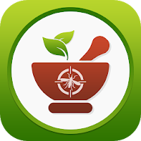Home remedies for dengue