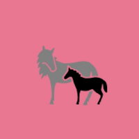 MY FOAL