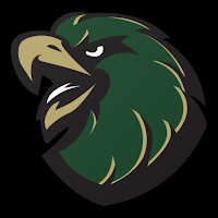 Hustlin Hawks