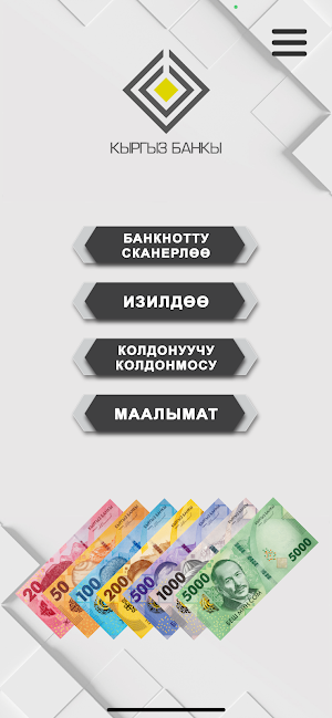 Кыргыз сом Screenshot 2