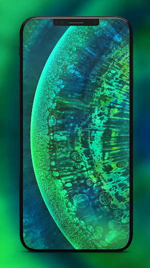 Wallpapers | Oppo Find X2 Pro Screenshot 2