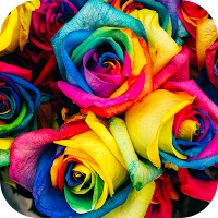 Colorful Wallpaper 2023