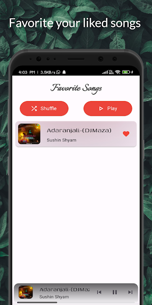 Blaze Player Screenshot 3