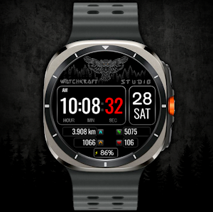 DIGI WatchCraft WS55 Watchface Screenshot 1