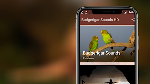 Budgerigar Sounds Screenshot 1