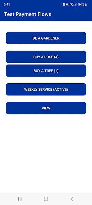 Test Payment Flows Screenshot 0