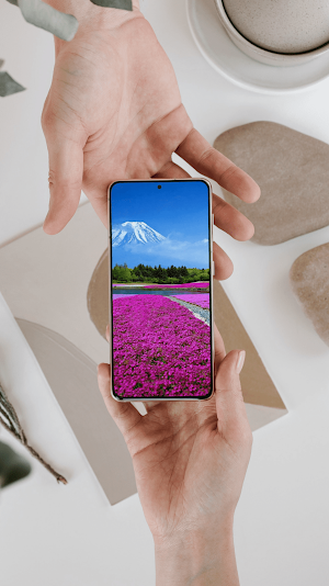 Spring Wallpapers 2024 Screenshot 3