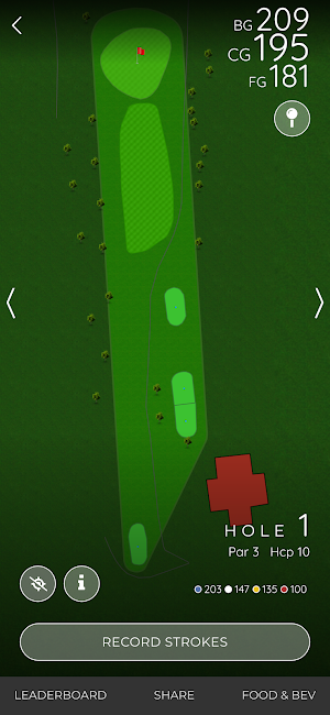 Pine Springs Golf Club Screenshot 2