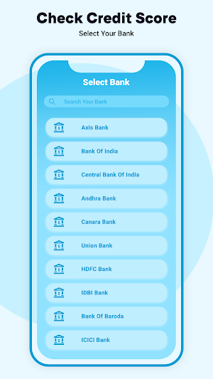 Credit Score Check Report Screenshot 2