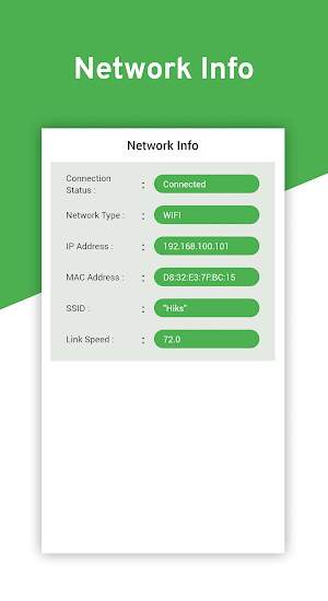 Netstat Network Interface Info Screenshot 1