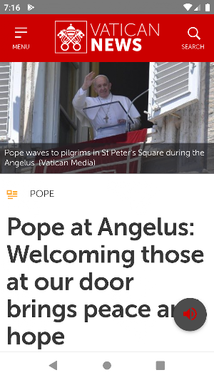 Vatican News Screenshot 2