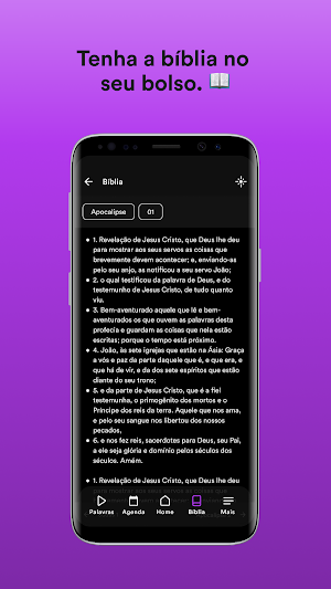 REDE AVIVA Screenshot 2