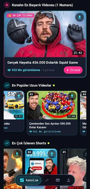 EFE AI Analysis Screenshot 0