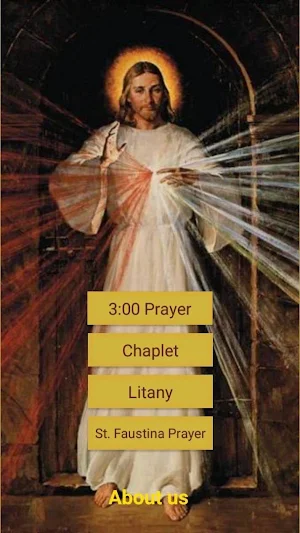 Divine Mercy Devotion Screenshot 0