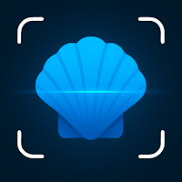 Shell Identifier: Beach Finds