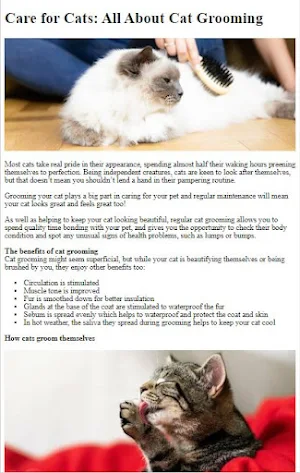 Cat Care & Grooming Guide Screenshot 1