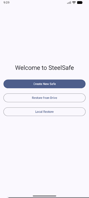 SteelSafe Screenshot 1