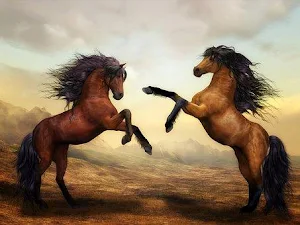 Animal Images App Screenshot 2