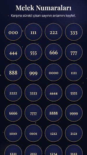 Numera: Numeroloji Analizi Screenshot 2