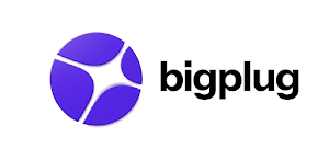 Bigplug Agent Screenshot 0