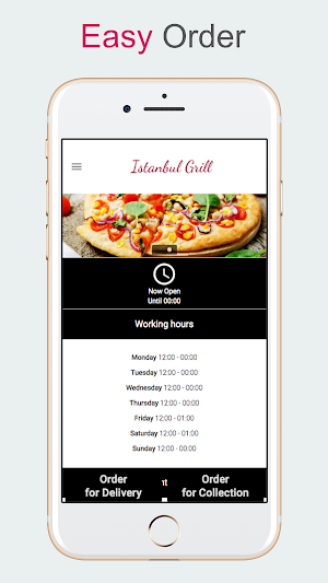 Istanbul Grill Ashford Screenshot 0