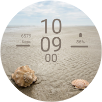 Seashell Coastal Dream