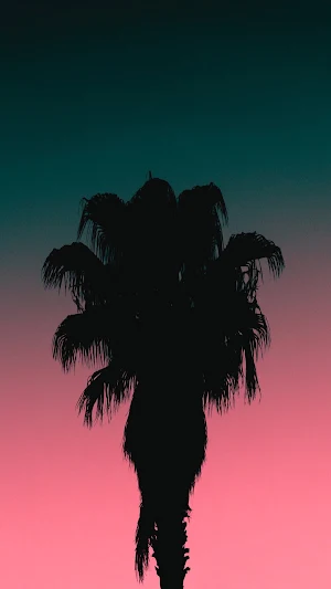 Palm Tree Wallpaper Screenshot 1