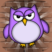 Tiny Owl