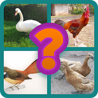 Guess the word four animals