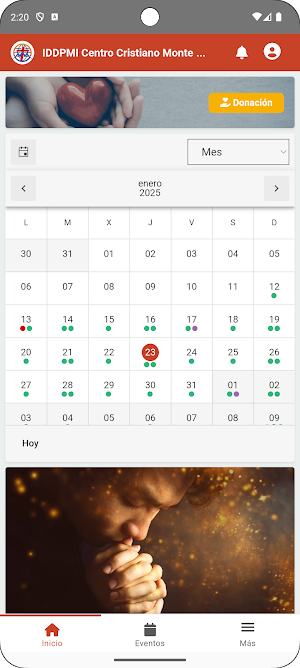 IDDPMI CCMS Screenshot 1