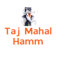 Taj Mahal Hamm