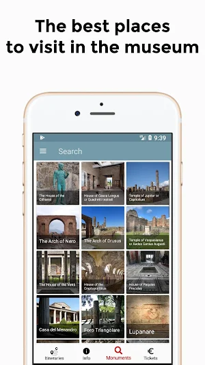 Pompeii Visit, Tours & Guide: Tourblink Screenshot 1