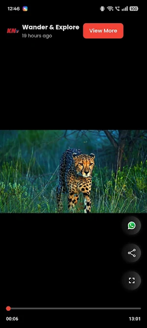 KNtv Telugu Screenshot 2