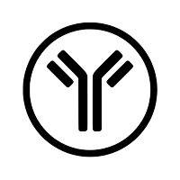 YMed AI