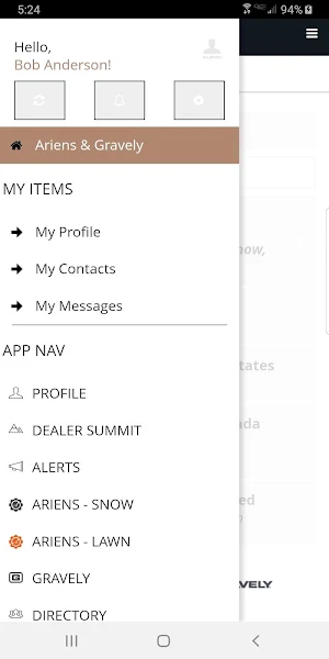 Ariens Co. Screenshot 2