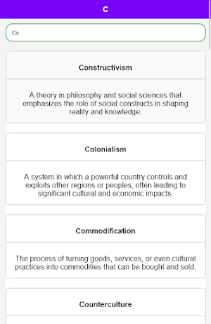 Critical Theory Dictionary Screenshot 3