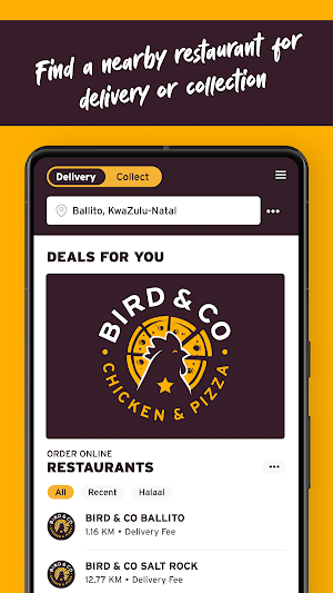 Bird & Co Screenshot 1