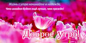 Доброе утро, Добрый день, Доброй ночи Screenshot 1