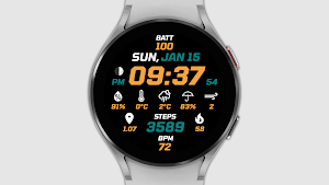 IWF Valuable watch face Screenshot 1
