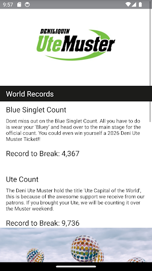 Deni Ute Muster Screenshot 2